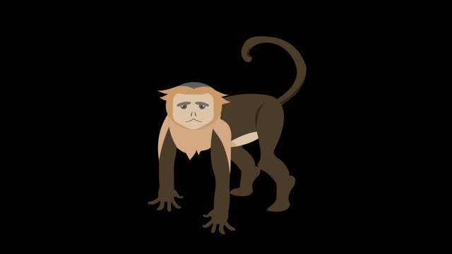 simple flat painting windmast animal coil monkey mg animation