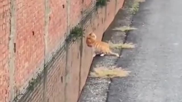 Precise jump