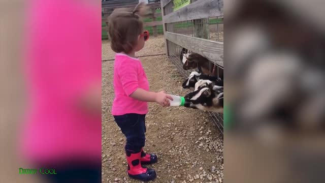 Funniest Babies Playing With Animals At The Zoo - Cute Baby and Animal Videos