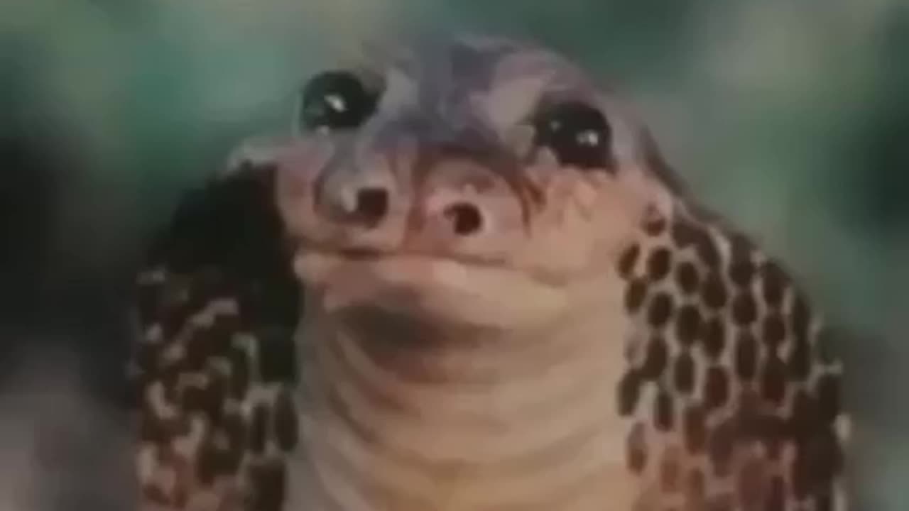 🤣🤣🤣