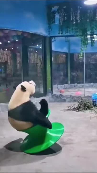 Funny Animal Videos| Funny Animals | Try not to laugh Shorts