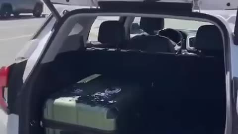 A nations of thieves and criminals