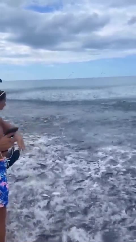 Bizarre FISH Invasion in Florida