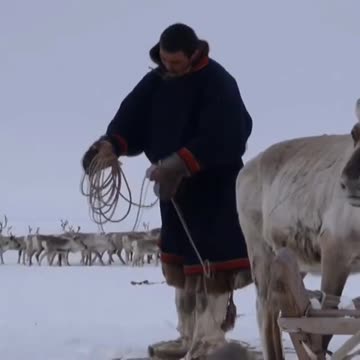 Visiting the Nenets
