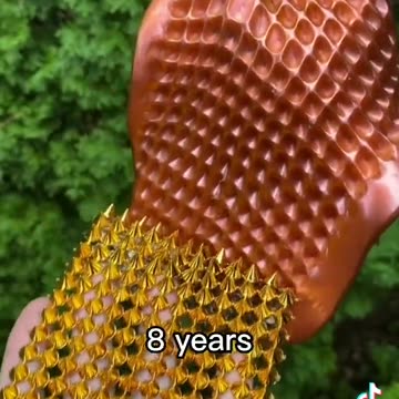 Interesting Facts part 56