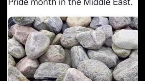 Random Memes 358