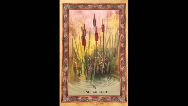 Celtic Tree Oracle Gnetal Reed