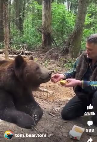 SMART ANIMALS DONT EAT McDonald's crap junk food