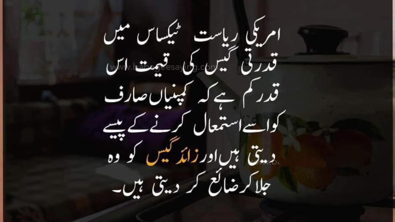 General knowledge in urdu #urduquotes