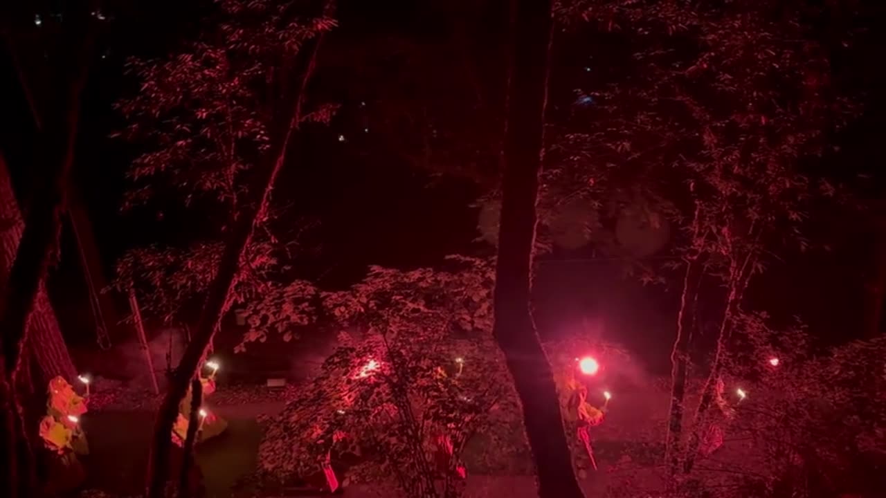 Bohemian Grove Caught Sacrificing Person 2024 - Filmed by Dancer1