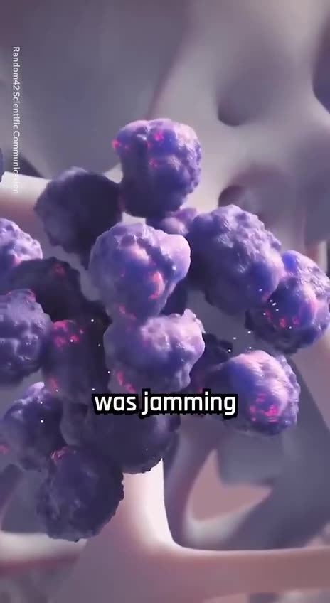 꿀벌 독은 암세포를 죽인다고.aVI