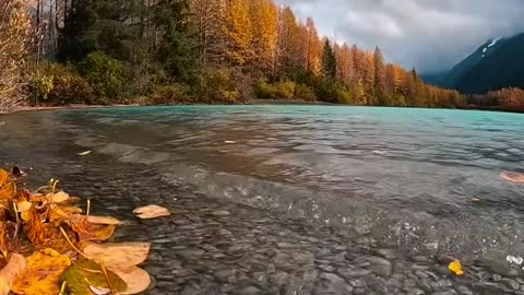 Beauty of Nature