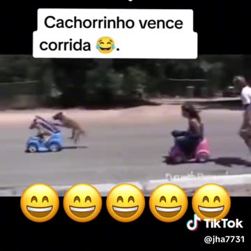 Funny videos compilation