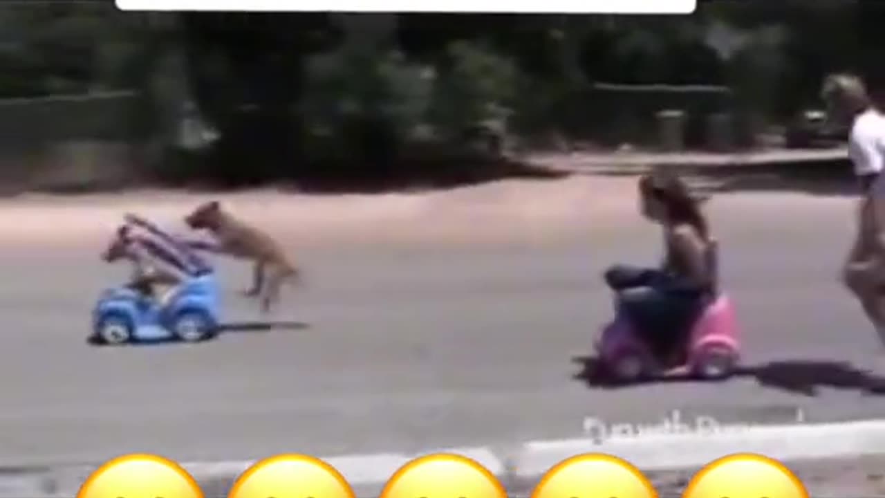 Funny videos compilation