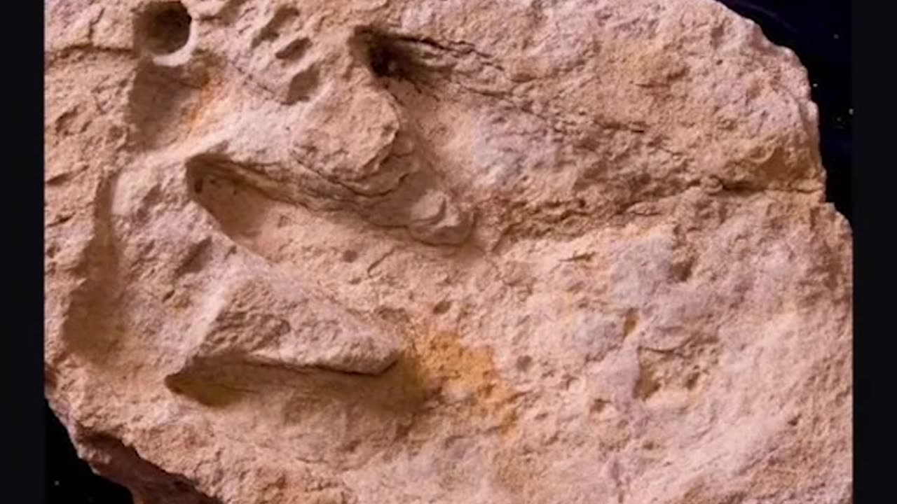 These Dinosaur Tracks Prove The Bible is True!