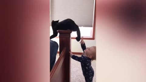 Baby And Cat Fun And Cute