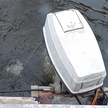 Bulletproof Johnson 50