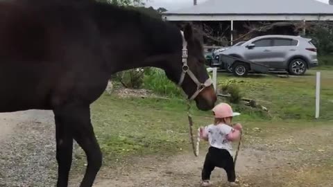 A little girl guiding a Horse