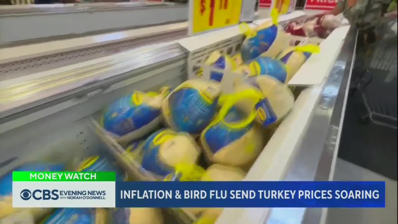 "Turkey prices spike due to inflation and bird flu." #news #inflation #thanksgiving