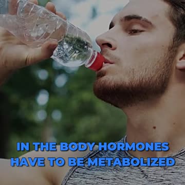 ✨ Unlocking Hormonal Harmony: The Art Of Detoxification 🌿