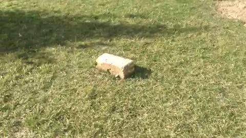 Footage for tracking