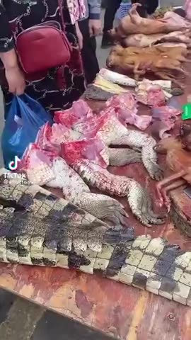 SHOPPING FOR SOME LUNCH AT THE OUTDOOR MARKET...WAIT IS THAT A CAT AND A HAND AND A ?????????????