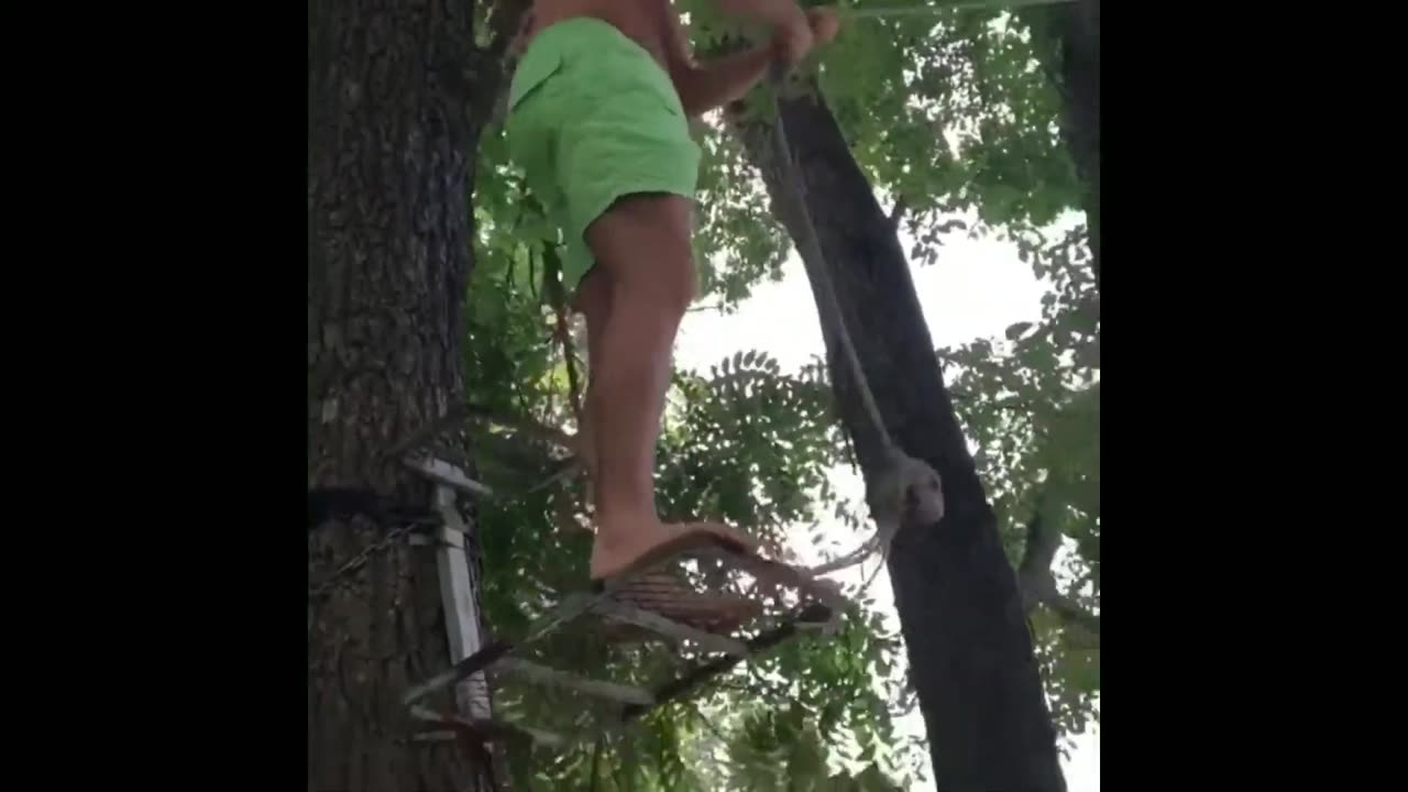 Best Stupid People Videos