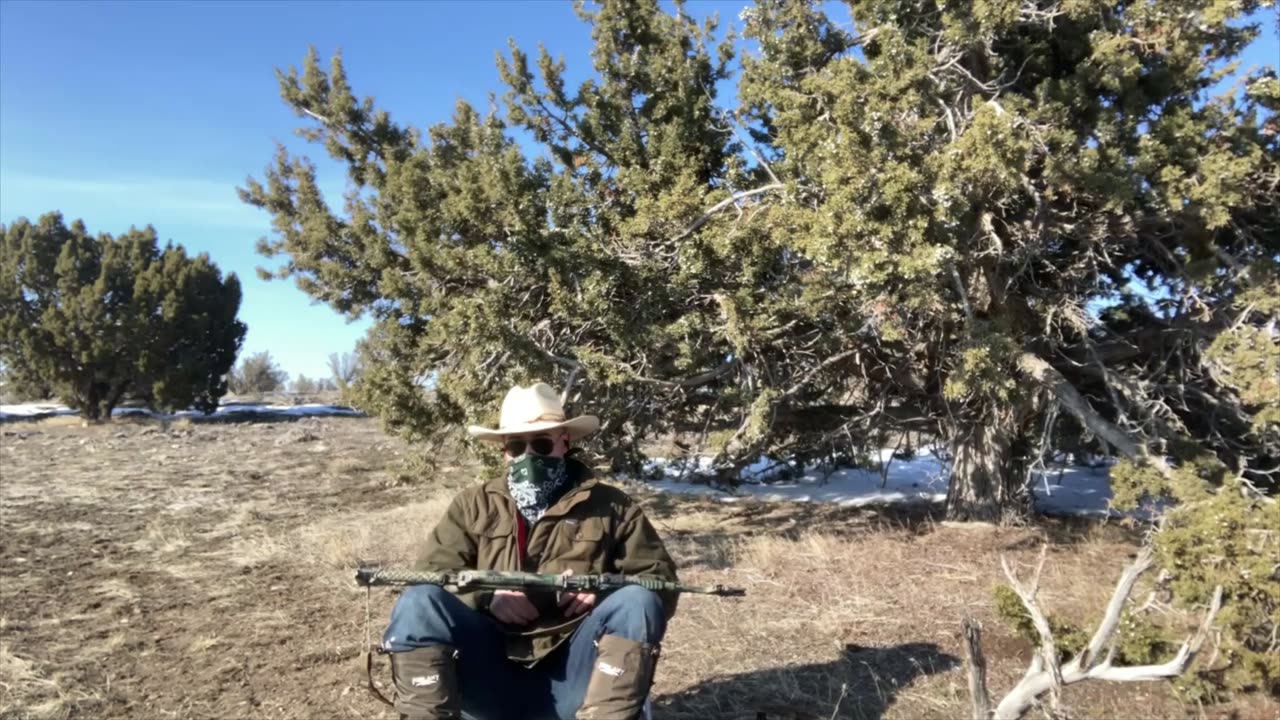 Tips with Coyote 1, The place of the AK today