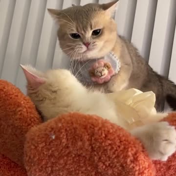 Help! How to do when your wife gets angry