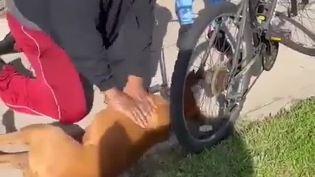 Merci