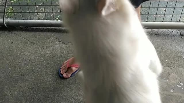 Joaquin's physical play time..