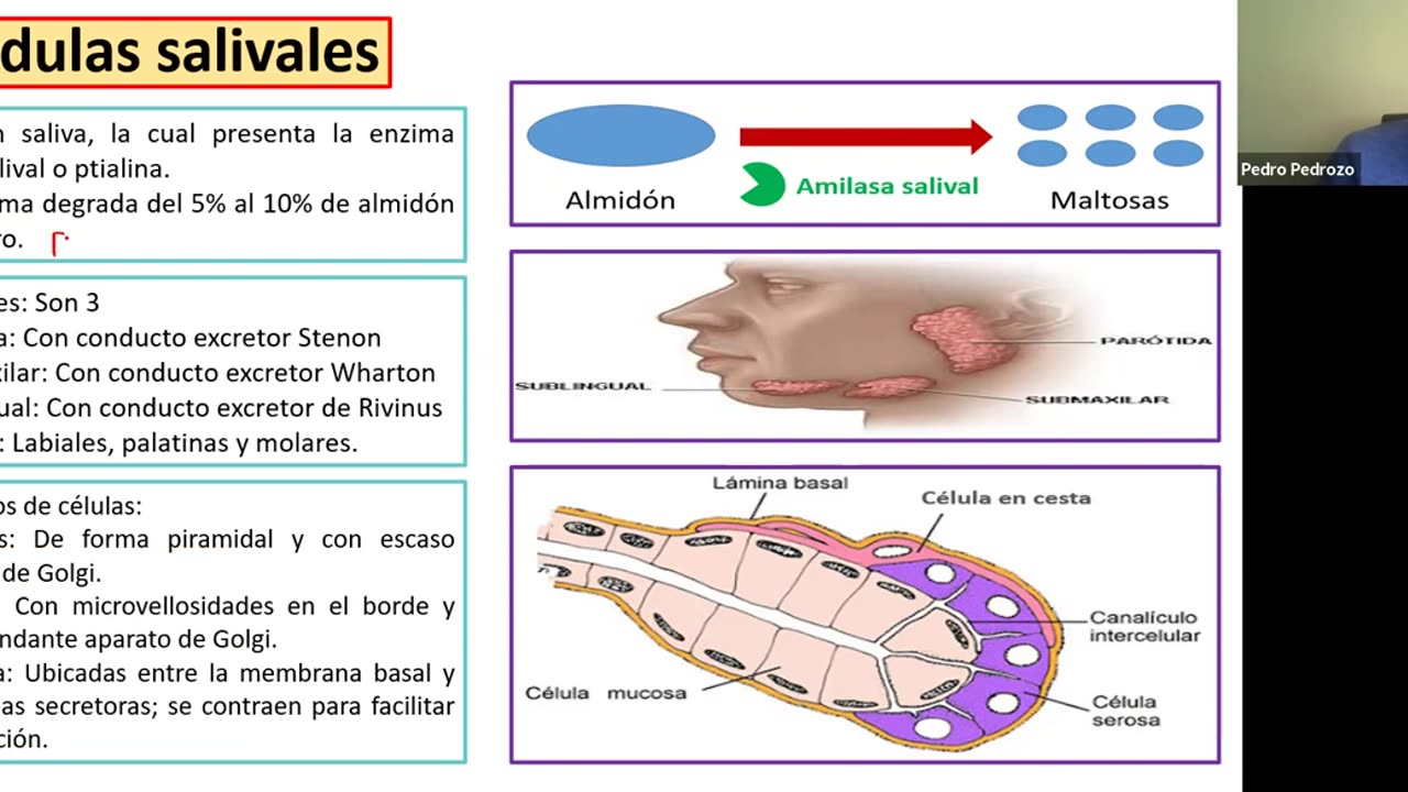 ADC SEMESTRAL 2022 Semana 06 BIOLOGIA