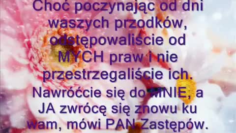 Proroctwo 13. Powiedz im moje dziecko, powiedz im ode mnie.