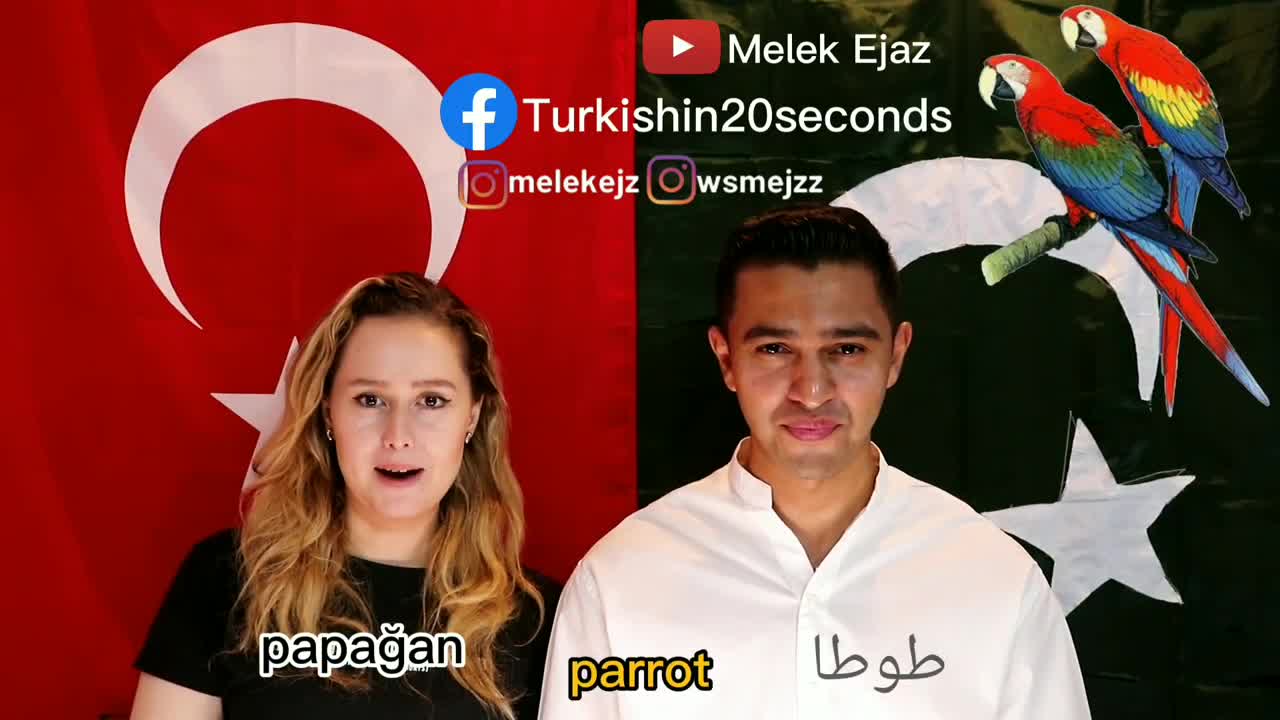 Learn Turkish in 20 Seconds - Animals - #14