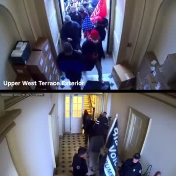 Is THIS What an "Insurrection" Looks Like??