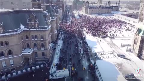 The media doesn't want you to see this footage of the Canadian truckers' protest