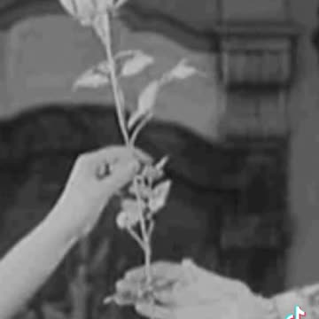 some people will not value you like you do them