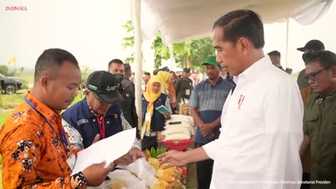 President Jokowi Plants Rice with Farmers, Tuban, 6 April 2023