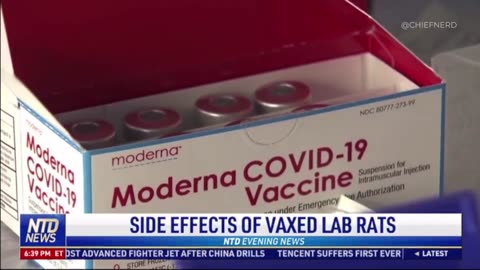 Moderna knew the vaccine would injure babies in the womb,