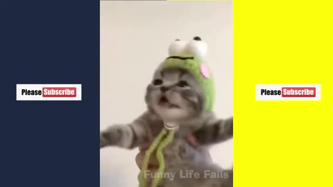 ULTIMATE|| Animal Compilation || Funny Fails || viral || comedy