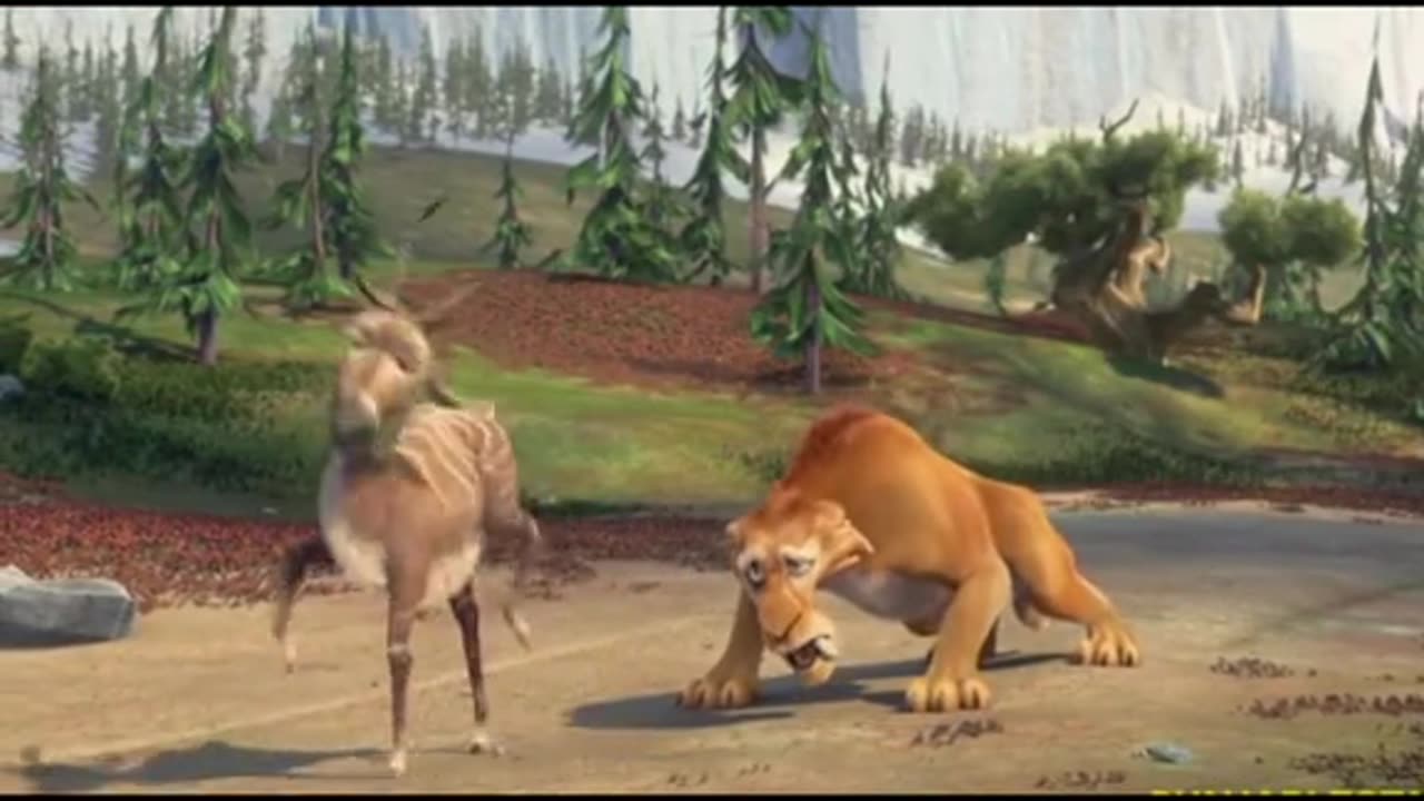 funny video