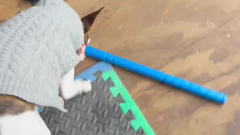 Princess needed help with golf club