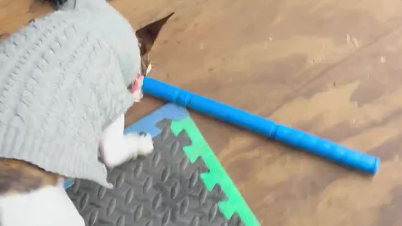 Princess needed help with golf club