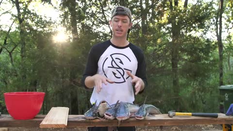 How to Clean and Cook Delicious Catfish