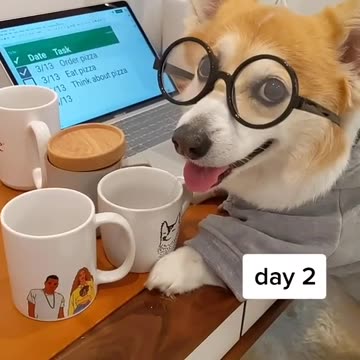 Remote Work Culture: Building a Strong Team from Afar