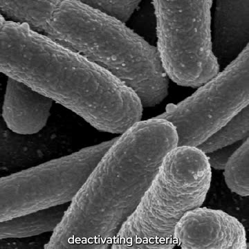 Clearing up cholesterol's misunderstood reputation as the 'bad guy'.
