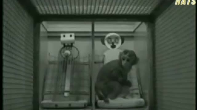 Experiment shows why mask wearing has always been about destroying the emotional bond.