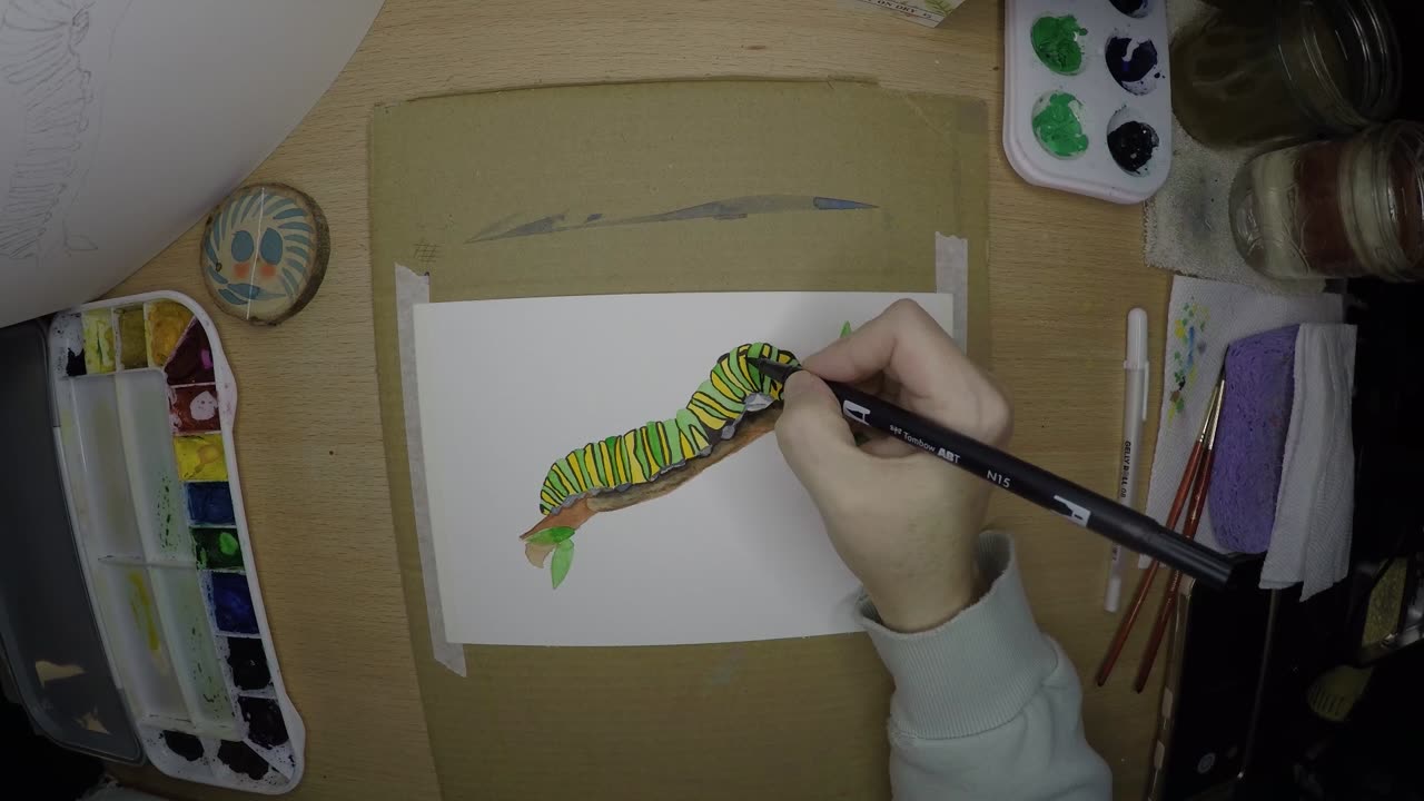 Catapillar Watercolor