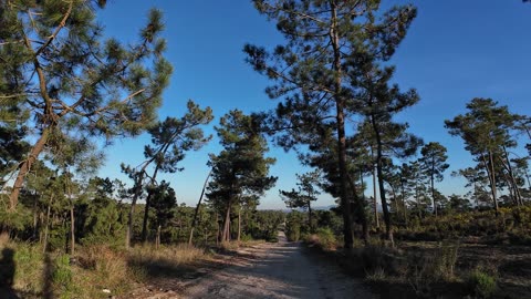 BIKE RIDE pela MS S05E01 23 jan 2K24 PART 13