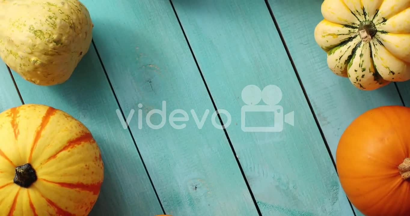 Big yellow pumpkins in circle